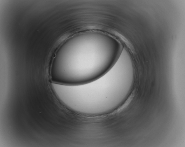 X0000099520977200805151029