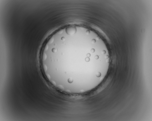 X0000099520978200805151029