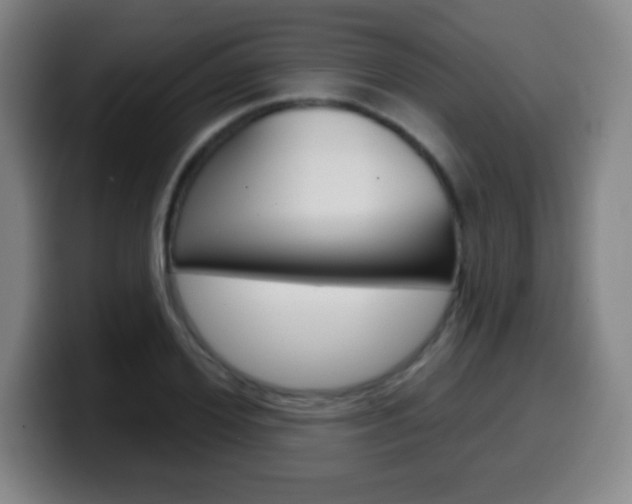 X0000099520980200805151029