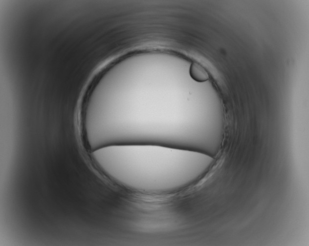 X0000099520982200805151029
