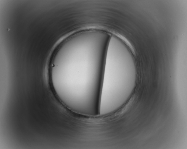 X0000099520983200805151029