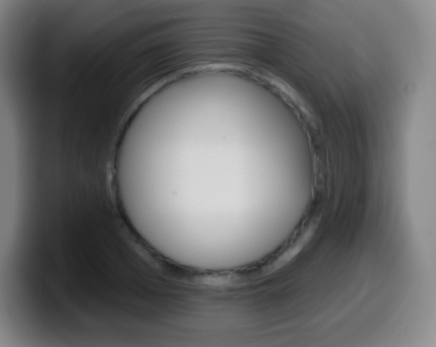 X0000099520985200805151029