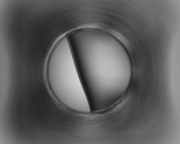 X0000099520988200805151029