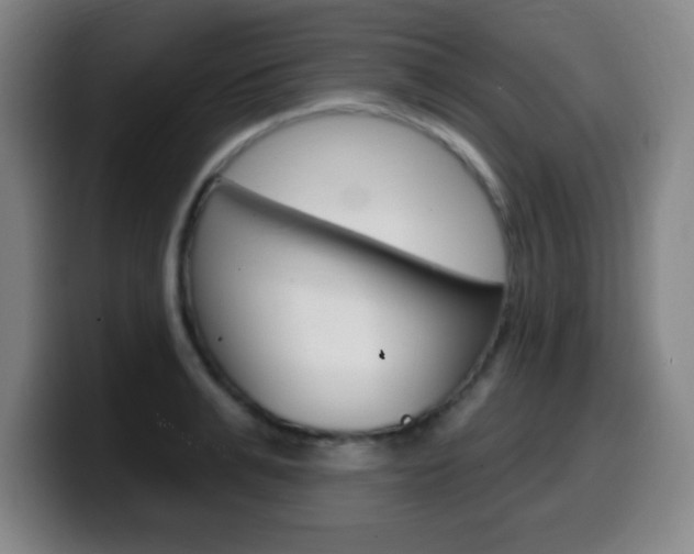 X0000099520991200805151029