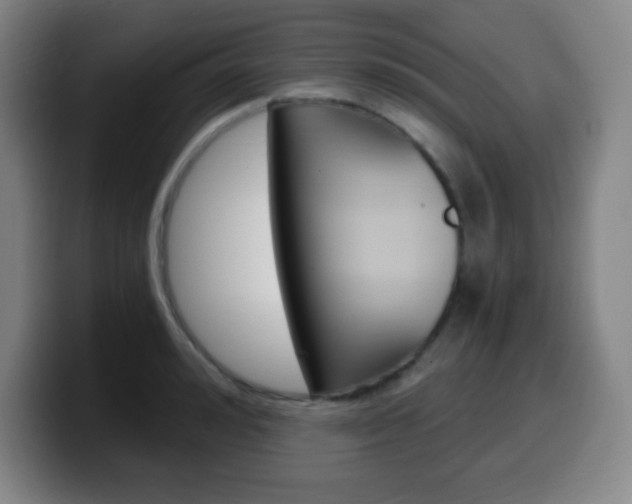 X0000099520992200805151029