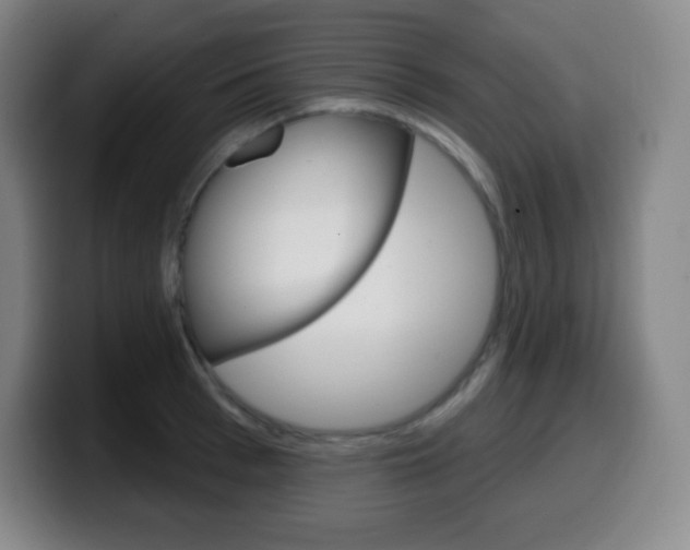 X0000099520993200805151029