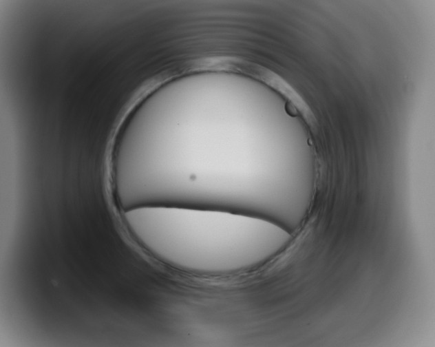 X0000099520994200805151029