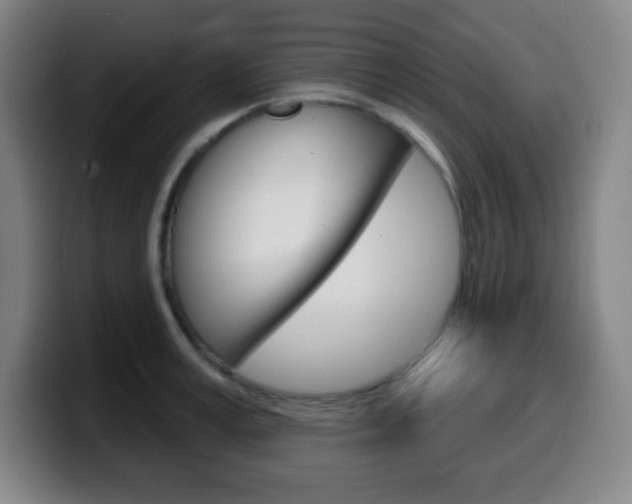 X0000099520995200805151029