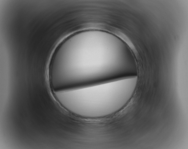 X0000099520996200805151029