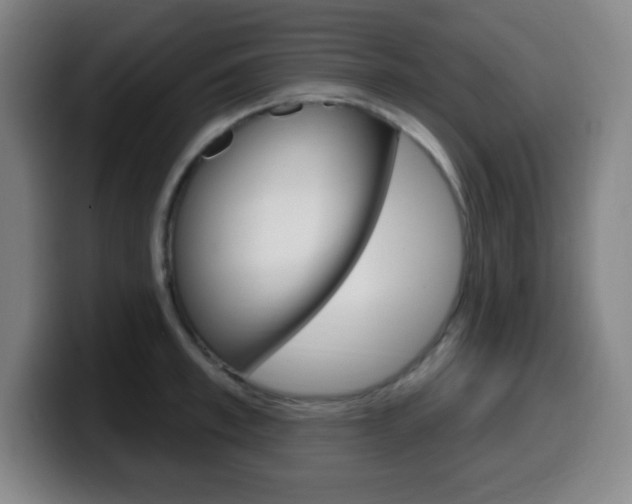 X0000099520997200805151029