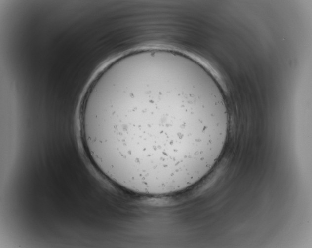 X0000099520998200805151028