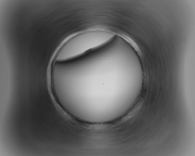 X0000099521000200805151028