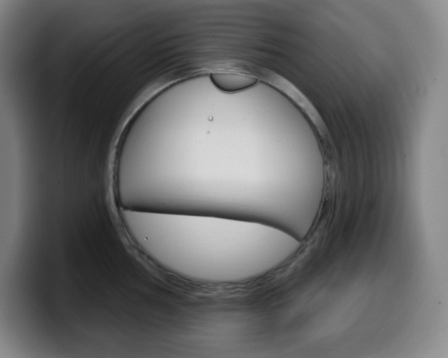 X0000099521002200805151028