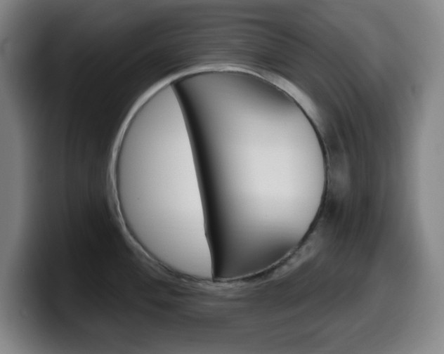 X0000099521004200805151028