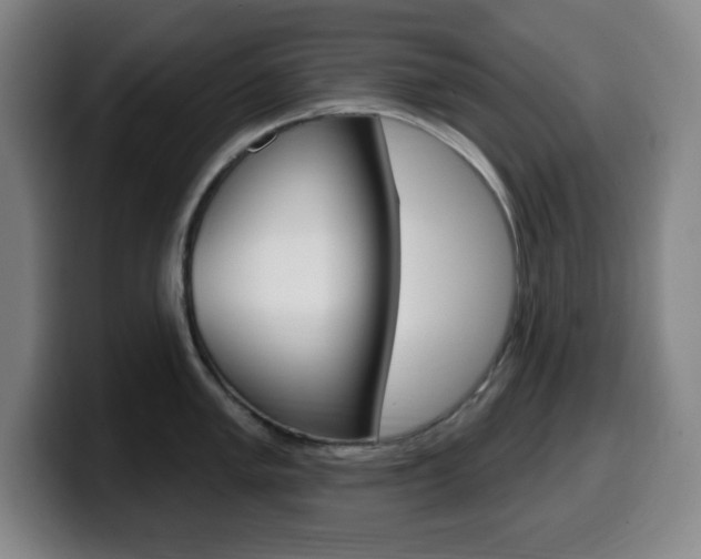 X0000099521005200805151028
