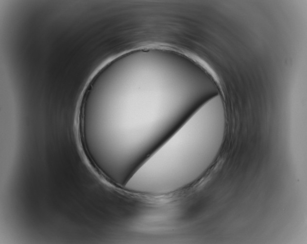 X0000099521007200805151028