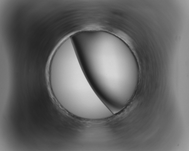 X0000099521008200805151028
