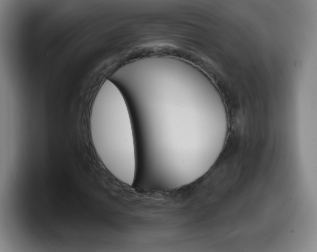X0000099521014200805151028
