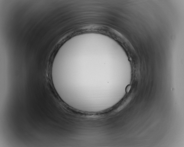 X0000099521017200805151028