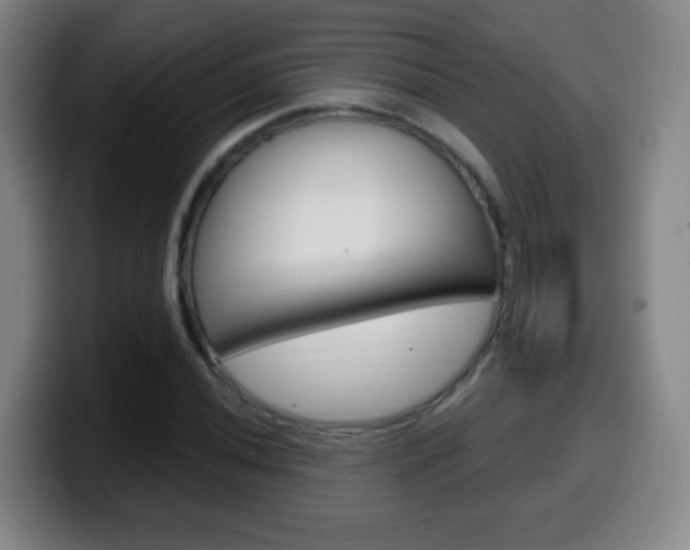 X0000099521020200805151028
