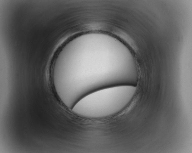 X0000099521023200805151028