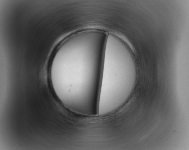 X0000099521024200805151028