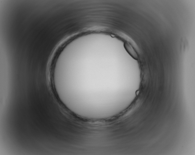 X0000099521027200805151028