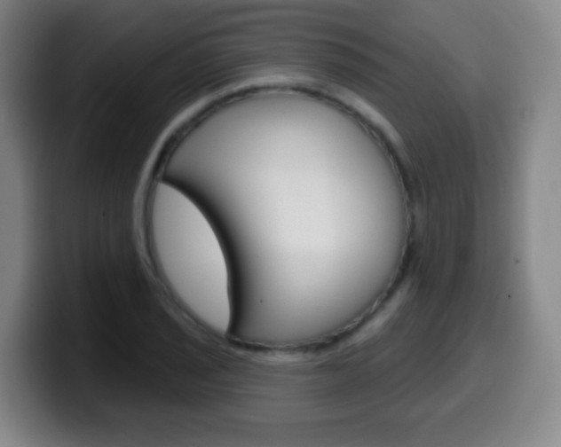 X0000099521029200805151028