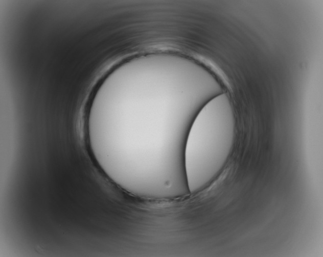 X0000099521031200805151028