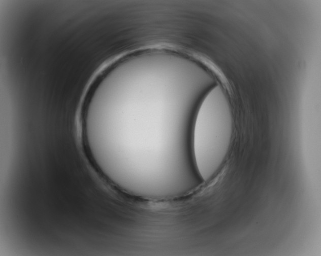 X0000099521032200805151028