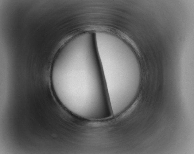 X0000099521033200805151028