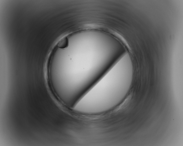 X0000099521034200805151028
