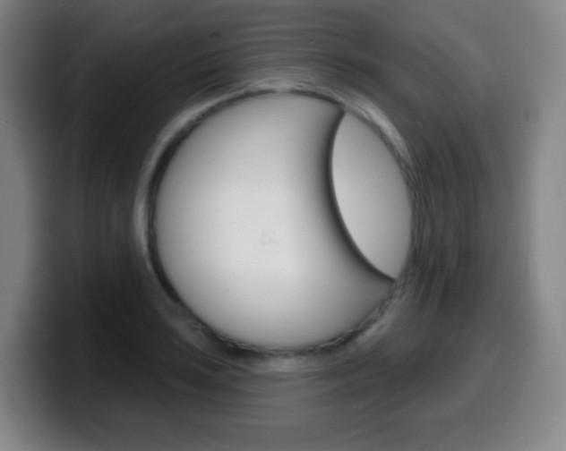 X0000099521035200805151028