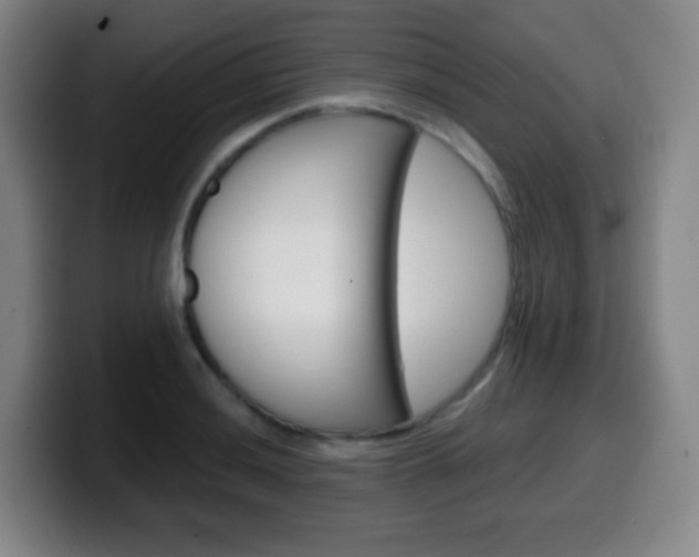 X0000099521036200805151028