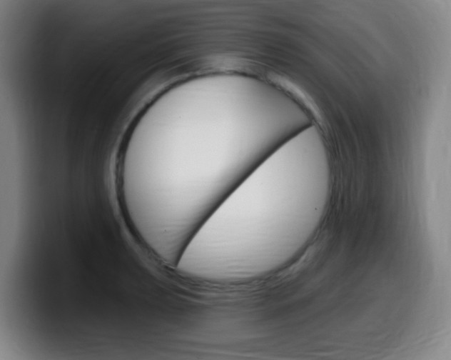 X0000099521039200805151028