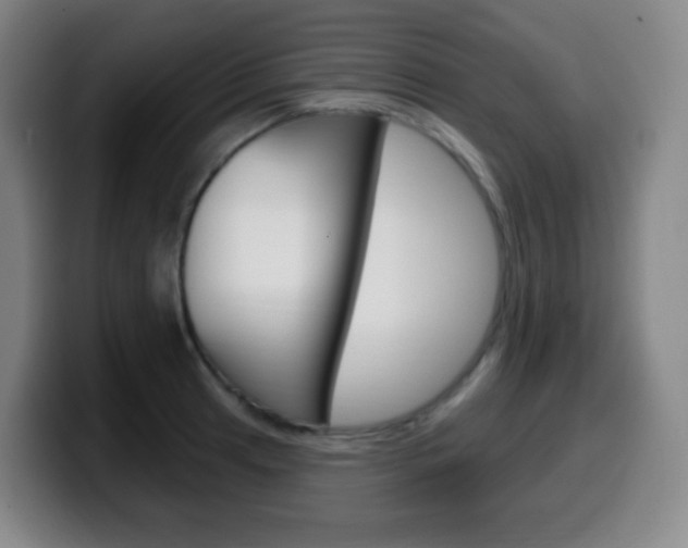 X0000099521041200805151028