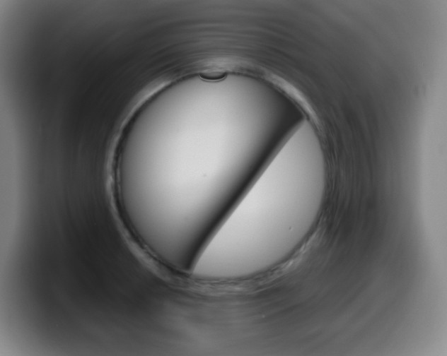 X0000099521042200805151028