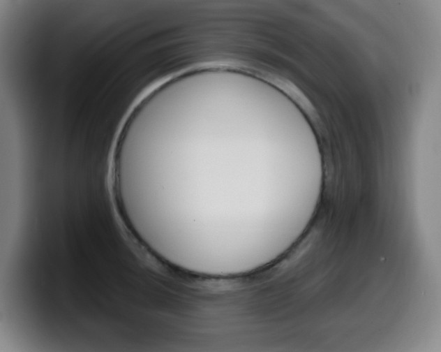 X0000099521044200805151028