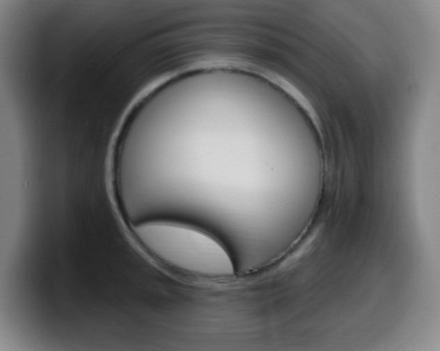 X0000099521045200805151028