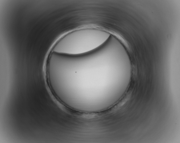 X0000099521046200805151028