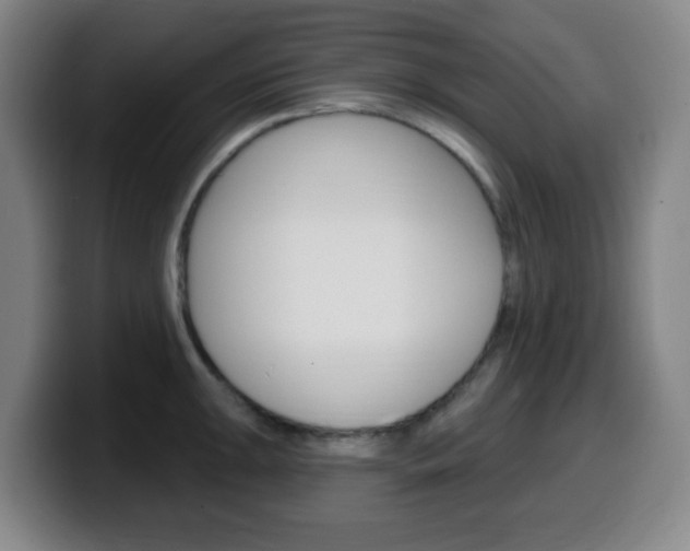 X0000099521047200805151028