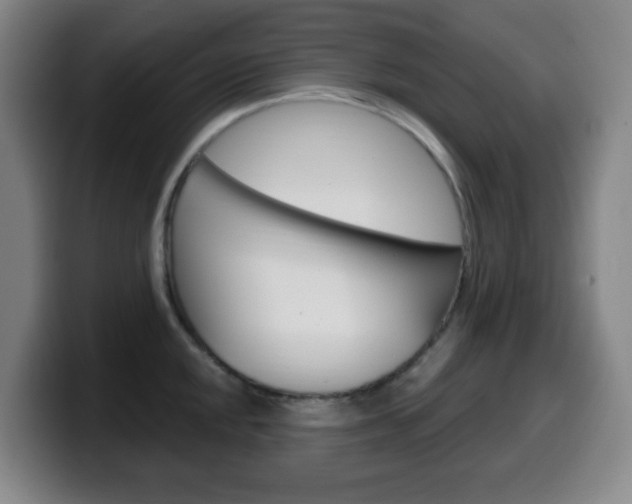 X0000099521048200805151028