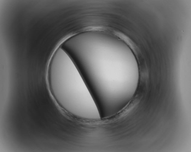 X0000099521050200805151028