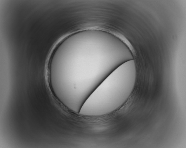 X0000099521051200805151028