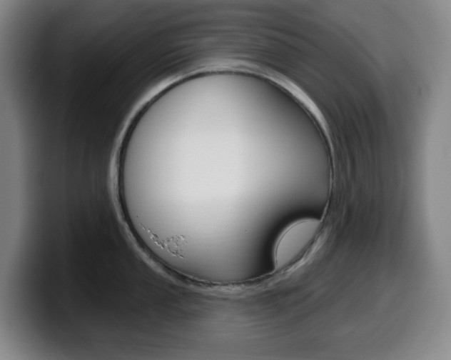 X0000099521053200805151028