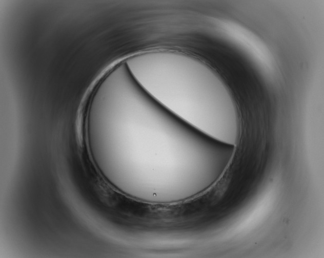 X0000099521054200805151028