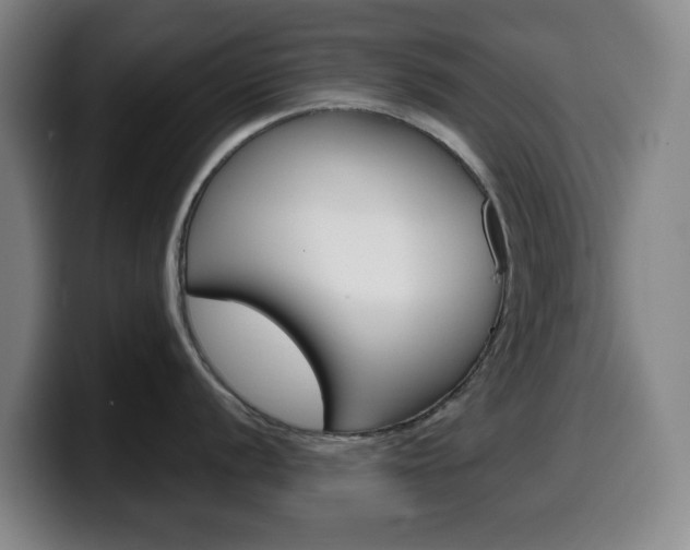 X0000099521056200805151028