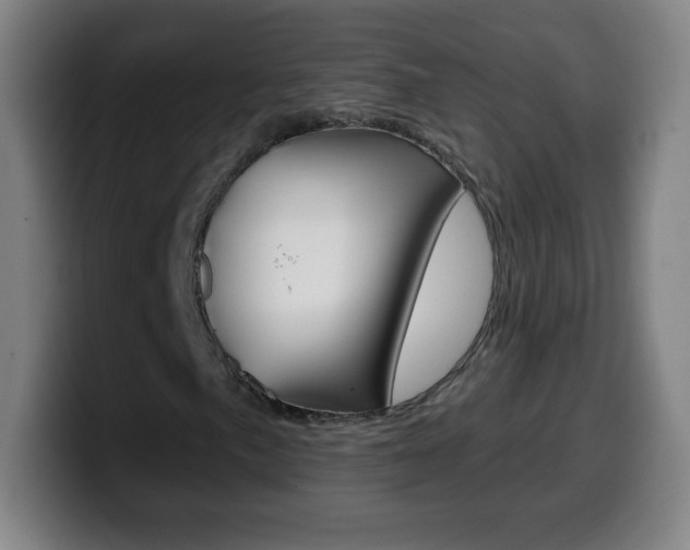 X0000099521057200805151028