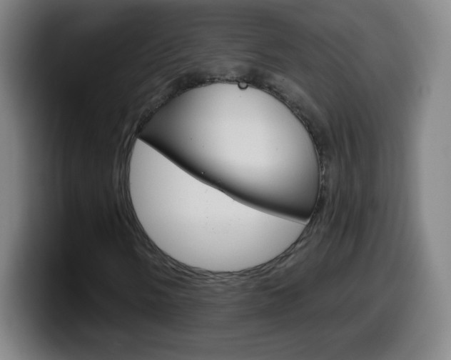 X0000099521058200805151028