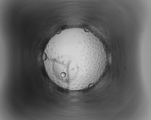 X0000099521059200805151028